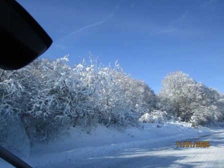 Aubrac_le_faltre_2026__6_.JPG, janv. 2026