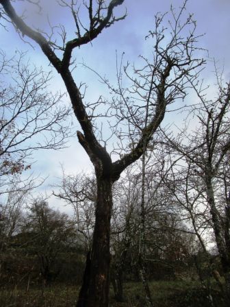 2021_8_MARS_010.jpg, mar. 2021 2021_8_MARS_010.jpg