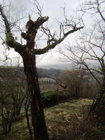 2021_8_MARS_011.jpg, mar. 2021 2021_8_MARS_011.jpg