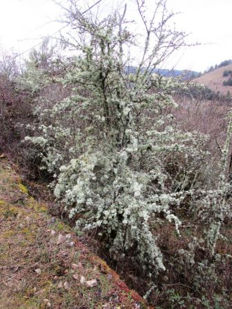 2021_8_MARS_015.jpg, mar. 2021 2021_8_MARS_015.jpg