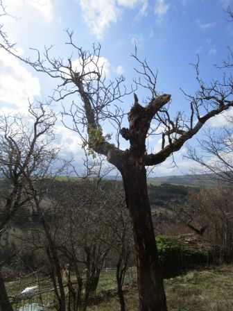 2021_8_MARS_020.jpg, mar. 2021 2021_8_MARS_020.jpg