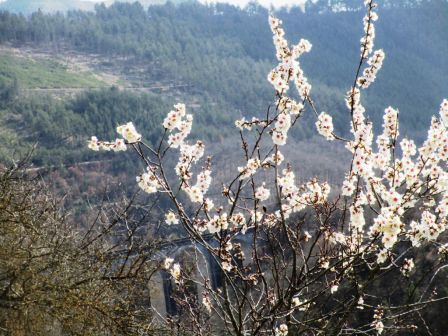 2021_8_MARS_023.jpg, mar. 2021 2021_8_MARS_023.jpg