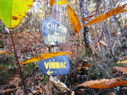 IMG_1177.JPG, nov. 2021 IMG_1177.JPG