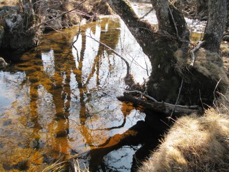 Lumiere_et_EAU__1_.jpg, juin 2021 Lumiere_et_EAU__1_.jpg