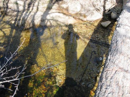 Lumiere_et_EAU__2_.jpg, juin 2021 Lumiere_et_EAU__2_.jpg