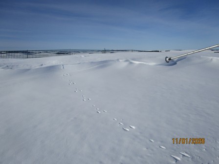 Aubrac_le_faltre_2026__26_.JPG, janv. 2026 Aubrac_le_faltre_2026__26_.JPG, janv. 2026